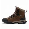 Vandrestøvle Columbia W GEOTERRA OUTDRY LTR (Dark Brown/Moonvista) Dame