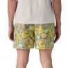Short de bain PATAGONIA baggies shorts - 5in (Flourish: Abundant Blue) homme