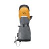 Guanti isolati Rab Expedition 8000 Mitts (Gold)