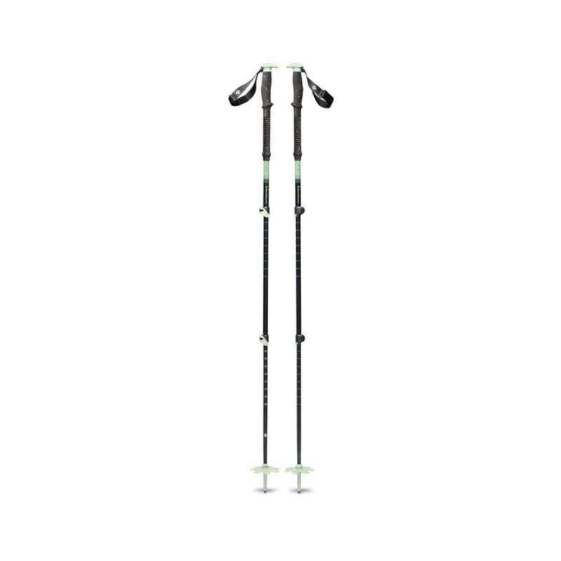 Hiihtosauvat Black Diamond EXPEDITION 3P SKI POLES (Desert Sage)