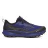 Wandelschoenen Saucony PEREGRINE 15 GTX (REGAL/BLACK) Heren