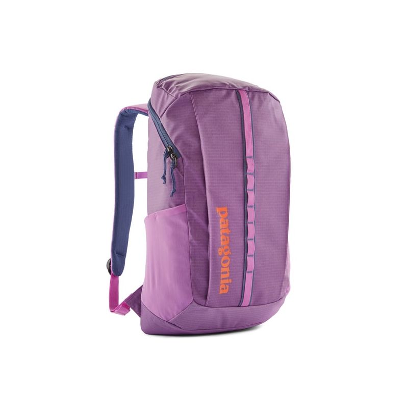 Sac à dos urbain PATAGONIA Black Hole Pack 25L (Brisk Purple)
