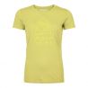 T-shirt ORTOVOX 150 COOL MTN PROTECTOR TS W (wabisabi) Femme 