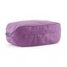 Patagonia Black Hole Cube 3L (reipas violetti)