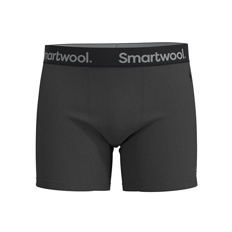 Boxer SMARTWOOL Active Brief (MEDIUM GRAY HEATHER) Homme