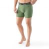 Smartwool Men's Merino Boxer Brief Boxed (FERN GREEN)