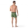 Smartwool Men's Merino Boxer Brief Boxed (FERN GREEN)