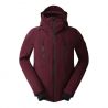 Veste de ski DARE2B Men's Assimilate Ski Jacket (Fig) homme