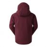 Veste de ski DARE2B Men's Assimilate Ski Jacket (Fig) homme