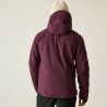Veste de ski DARE2B Men's Assimilate Ski Jacket (Fig) homme