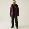 Veste de ski DARE2B Men's Assimilate Ski Jacket (Fig) homme