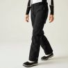 Pantalon de ski DARE2B Black Women's Ice Ski Pant (Black) femme