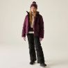 Dare2B ShredderJacket (Viininpunainen)