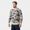 Helly Hansen ARCTIC ICELANDER 1/2 ZIP (WHITE OLYMPICS)