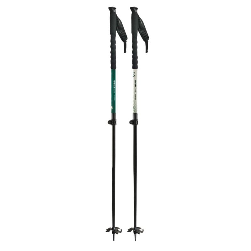 Fjellskistaver Skitrab POLES STELVIO LIFE (HVIT/GRØNN) Unisex