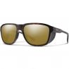 Smith Embark (Embark | Matt Skilpadde | ChromaPop Bronse Speil - Matt Skilpadde - ChromaPop Bronse Speil)