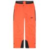 Ski pants Picture OBJECT PANTS (C Neon Flare) men