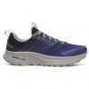 Trail sko Saucony RIDE TR2 GTX (REGAL/BLACK)