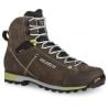Scarpe da trekking Dolomite 54 Hike Evo GORE-TEX (Mud Green/Green) Uomo