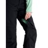 Burton Dames [ak] Summit GORE-TEX 2L Geïsoleerde Broek (True Black)