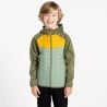Veste hybride Dare2b Kids' Explore II (Olivine Green/Hedge Green/Tawny) enfant 