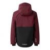 Kids' Send It! Ski Jacket Fig/Lilas