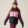 Kids' Send It! Ski Jacket Fig/Lilas