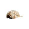 Protest Cappello PRTWheat (BambooBeige)