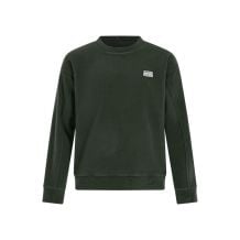 Sweatshirt Protest PRTHawk (Kale green) Uomo