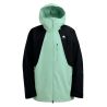 BURTON Men's Reserve 2L Jacket (Soft Sage / True Black)