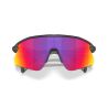 Oakley STUNT DEVIL (NEGRO MATE)