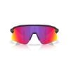 Oakley STUNT DEVIL (MATTE BLACK)