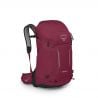 Retkeilyreppu Osprey Hikelite 32 (Chameleon/Black)