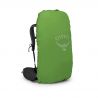 Sac de randonnée OSPREY Kestrel 38 (Bonsai Green) Homme 