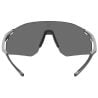 Lunettes de soleil BOLLE C-ICARUS (Titanium Matte - Volt Ultraviolet) cat 3