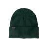 Mütze Patagonia Fishermans Rolled (Cascade Green)