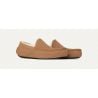 UGG M ASCOT (KASTANIE)