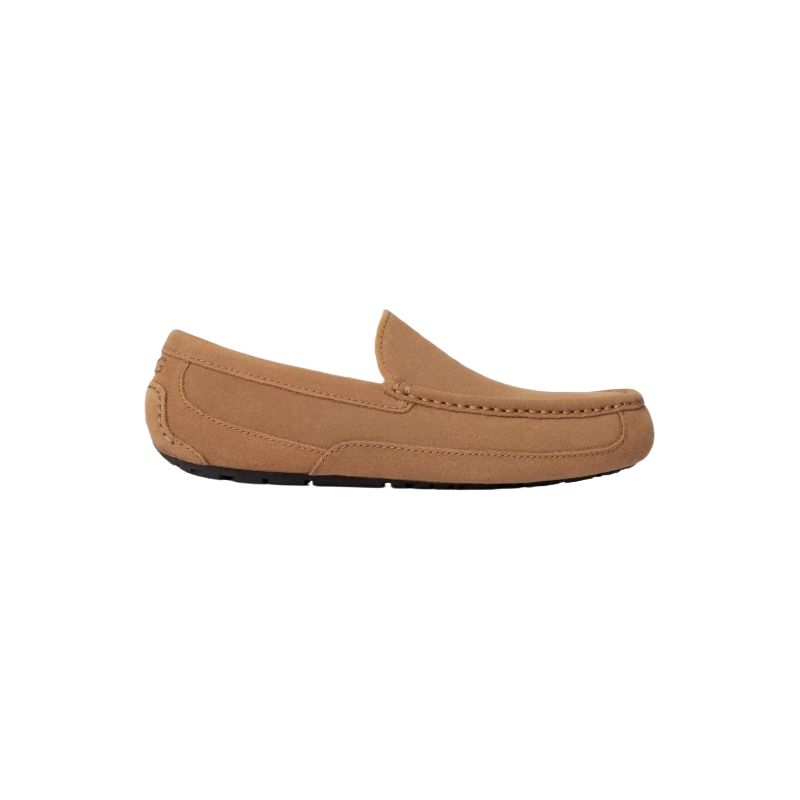 Hausschuhe UGG ASCOT (CHESTNUT) - Herren