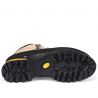 Chaussures d'alpinisme HANWAG Omega GTX (Lärche/Light Brown) Homme