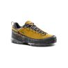 TX5 Low GTX Savana/Tiger