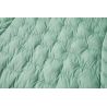 Patagonia Dames Micro Puff Hoody (Thin Ice)