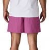 Patagonia M's Baggies Shorts - 5 in. ('95 Oval Logo: Faded Magenta)