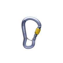 Kiipeilykarabiini Black Diamond GRIDLOCK SCREWGATE CARABINER (Harmaa)