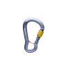 Black Diamond GRIDLOCK SCREWGATE CARABINER (Grigio)