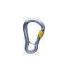 Black Diamond GRIDLOCK SCREWGATE KARABINER (Grau)
