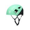 Climbing helmet Black Diamond CAPITAN E HELMET (Clean Green)