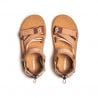 Merrell SPEED FUSION WEB RMX/TAN ROSE (TAN ROSE)