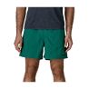 Badehose Patagonia M's Baggies Shorts - 5 in. ('95 Oval Logo: Gem Green) Herren