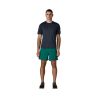 Short de bain PATAGONIA M's Baggies Shorts - 5 in. ('95 Oval Logo: Gem Green) Homme 