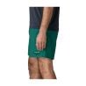 Short de bain PATAGONIA M's Baggies Shorts - 5 in. ('95 Oval Logo: Gem Green) Homme 
